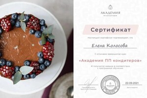 Диплом / сертификат №5 — Олеговна Колосова Елена