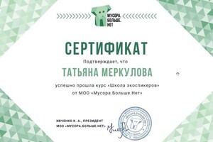 Диплом / сертификат №3 — Валерьевна Меркулова Татьяна