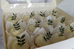 Николаевна Пугачева Анастасия — Портфолио №1