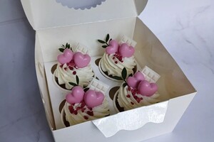 Николаевна Пугачева Анастасия — Портфолио №2