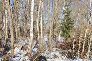 На данном фото изображён запущенный участок который мы взяли под расчистку. Срок выполнения работ 6 дней. Участок 12... — Андреевич Пономарев Егор