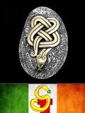 Irish Snake (Ирландский Змей) — музыкальные группы (Казань)