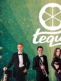 Текила (TEQUILA) — музыкальные группы (Казань)