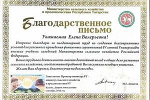 Диплом / сертификат №13 — Леушина Елена Валерьевна