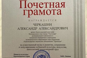 Диплом / сертификат №13 — Черкашин Александр Александрович