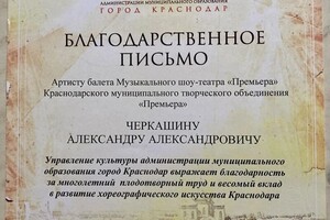 Диплом / сертификат №17 — Черкашин Александр Александрович