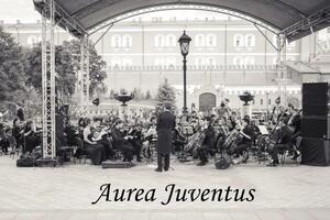 Портфолио №1 — Aurea Juventus Orchestra