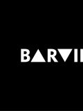 BARVIP — шоу (Москва)