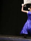 Flamenco Show — народные танцы (Москва)