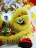 Lion Dance — шоу (Москва)