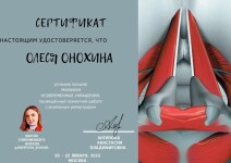 Диплом / сертификат №14 — Онохина Олеся Максимовна