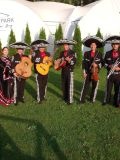 Mariachi Mexico — музыкальные группы, ансамбли (Москва)