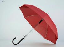 Toyota Umbrella — Семчишина Надежда Михайловна