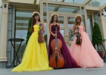 Струнное трио DOLLS — Violin Group Dolls