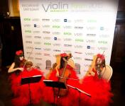 Violin Group Dolls — Violin Group Dolls