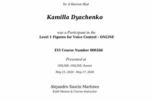 Диплом / сертификат №1 — Дьяченко Камилла Владимировна