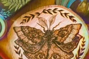 Андросова Мария Григорьевна — Дощечка декоративная Моль — Портфолио №24