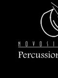 Novosibirsk Percussion Group — шоу (Новосибирск)