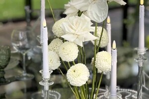 Александровна Фетисова Светлана — Свадьба, юбилей, годовщина, день рождение, красивая дата. — Портфолио №1