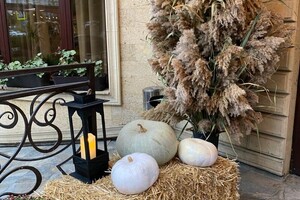 Александровна Фетисова Светлана — Оформление фасада. — Портфолио №8