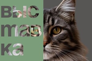 Александровна Корнеева Ирина — Портфолио №12