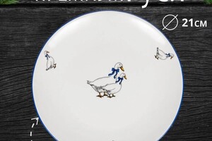 Александровна Корнеева Ирина — Портфолио №6