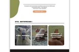 Александровна Кутукова Ника — Сайт для кофейни \