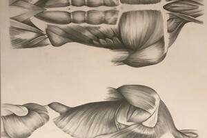 Сурнина Яна Александровна — Портфолио №74