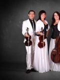 BSQ (Bomond String Quartet) — музыкальная группа, инструментальный коллектив (Ростов)