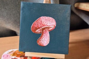 Евгеньевна Думенко Софья — Портфолио №3