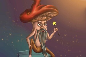 Игоревич Минеев Станислав — Гриб — Портфолио №1