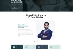 Петрович Бандурин Евгений — Редизайн сайта для индийской компании — Портфолио №1