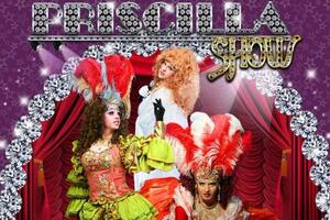 Портфолио №17 — Priscilla-show