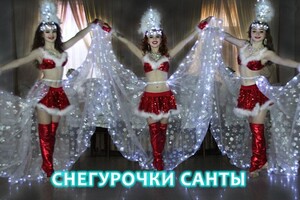 Шоу-балет ART SHOW DANCE — Снегурочки Санты — Портфолио №7