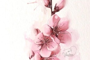 Владимировна Волошина Анастасия — Портфолио №12