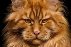 Владимировна Волошина Анастасия — Портфолио №13