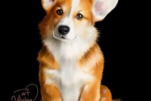 Владимировна Волошина Анастасия — Портфолио №14