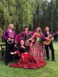 Цыганский ансамбль — певец, актёр; шоу, музыкальная группа (Рязань)