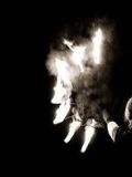 Flame Art — шоу (Рязань)