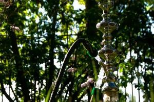 Портфолио №17 — DubaiHookah