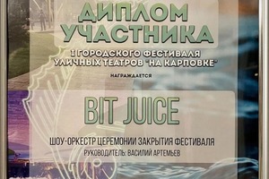 Диплом / сертификат №5 — Bit Juice