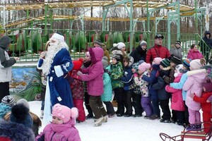 Новогодний праздник в городе Колпино — Данилов Кирилл Вячеславович