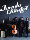 Jungle Quartet — музыкальные группы, инструментальные коллективы (Санкт-Петербург)