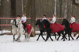 Конный вальс — Павлик Руслан Яковлевич