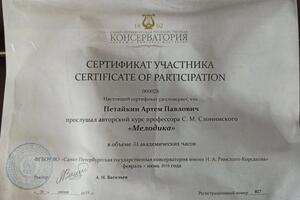 Сертификат — Петайкин Артём Павлович