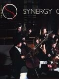 Synergy Orchestra — музыкальные группы, инструментальные коллективы (Санкт-Петербург)