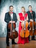 The Cello Quartet — певец, продюсер, музыкальные группы, шоу (Санкт-Петербург)