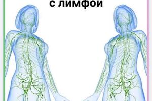 Работа с лимфой с применением различных лимфодренажных техник — Ванюшова Юлия Александровна