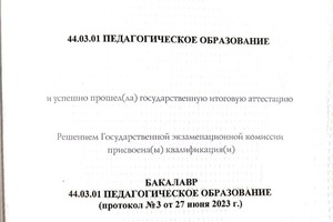 Диплом / сертификат №6 — Васильевна Вильчинская Валерия