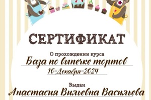 Диплом / сертификат №3 — Вильевна Васильева Анастасия